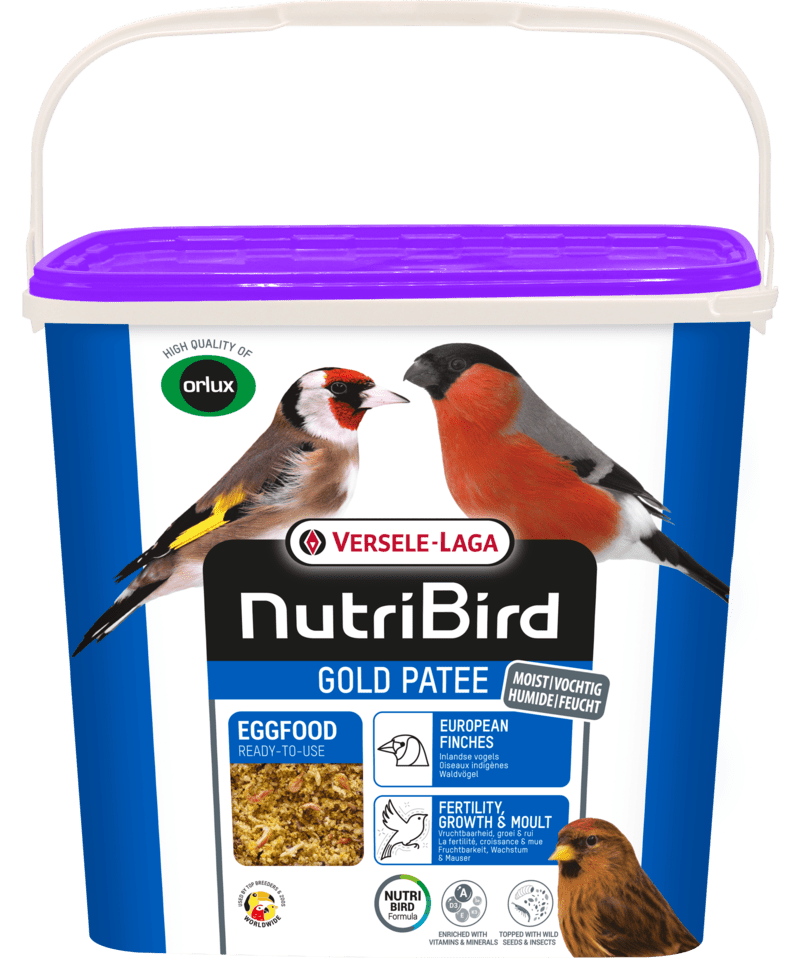 NutriBird Gold Patee- European Finches - New York Bird Supply