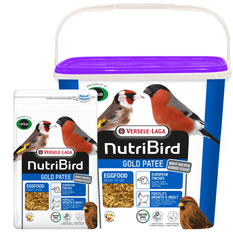 NutriBird Gold Patee- European Finches - New York Bird Supply