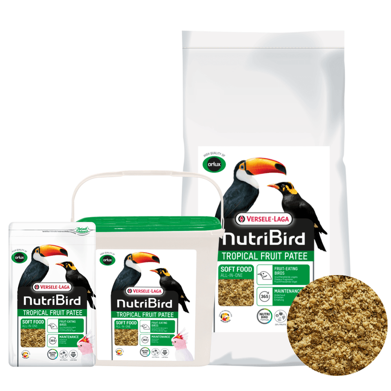NutriBird Tropical Fruit Patee - New York Bird Supply