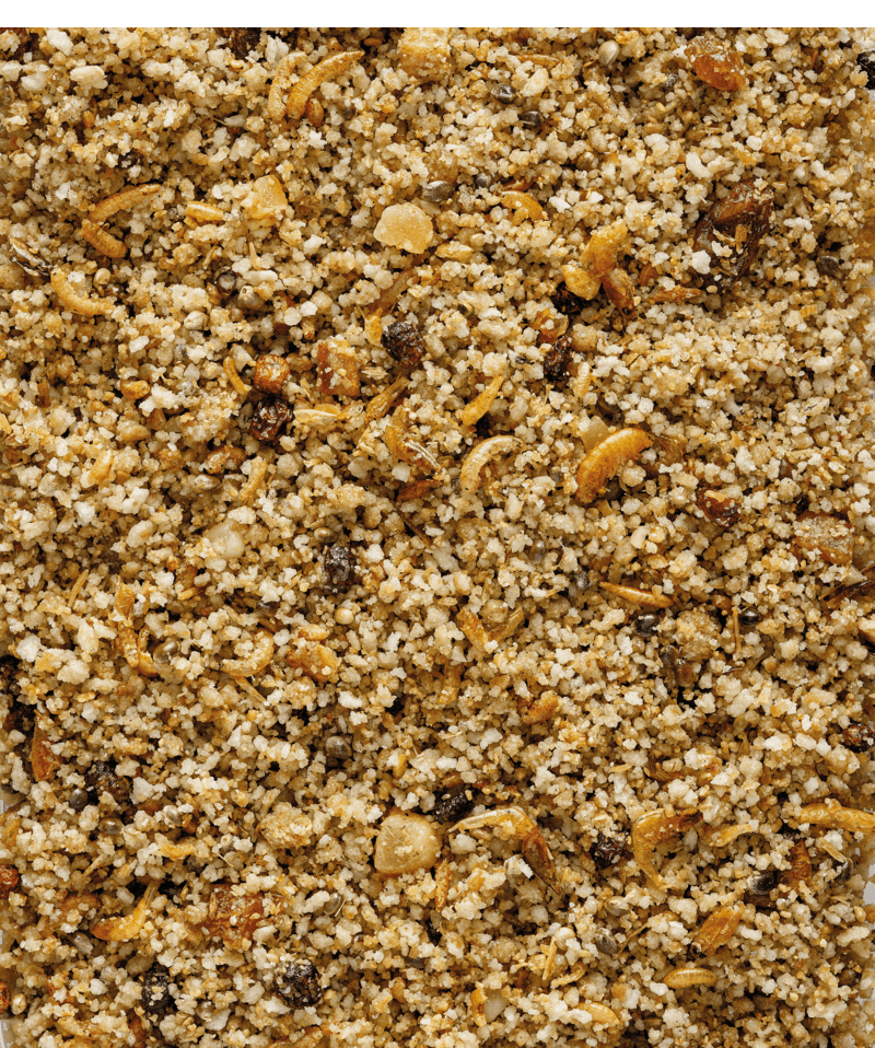 NutriBird Uni Patee 2.2 lb - New York Bird Supply