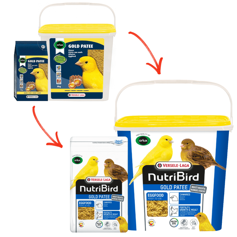 Orlux Gold Patee Canary Egg Food - New York Bird Supply
