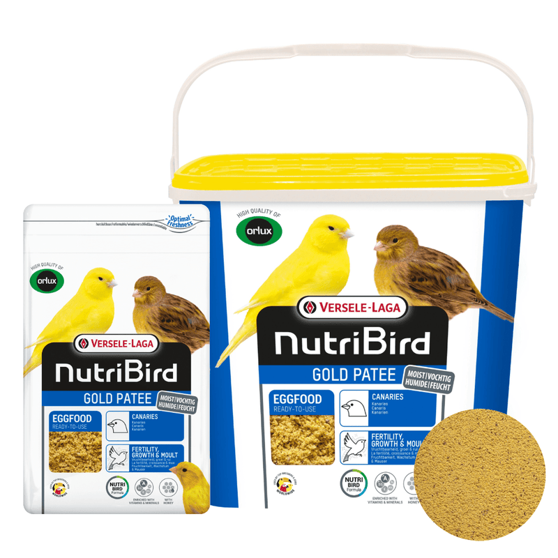 Orlux Gold Patee Canary Egg Food - New York Bird Supply
