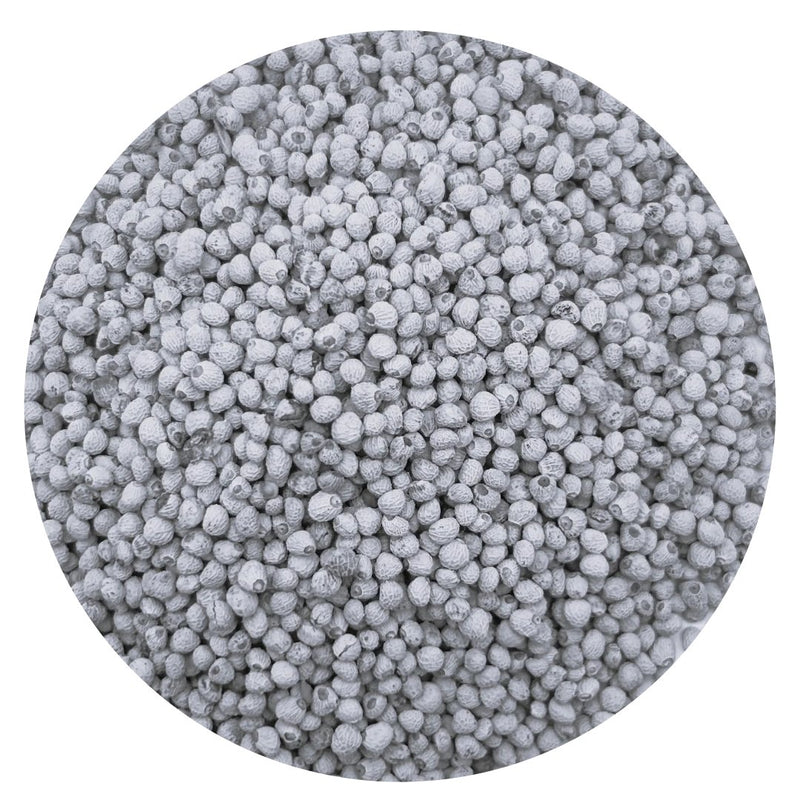 Perilla Seed White - New York Bird Supply