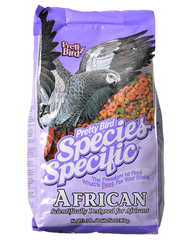 Pretty Bird Species Specific African Grey - New York Bird Supply