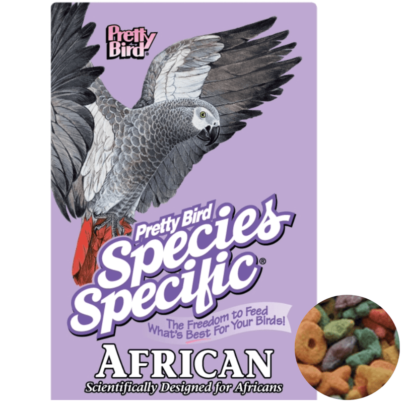 Pretty Bird Species Specific African Grey - New York Bird Supply