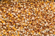 Purgrain Penny - Wise Popcorn 50lb - New York Bird Supply