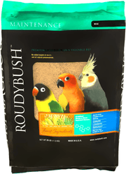 Roudybush Daily Maintenance Mini - New York Bird Supply