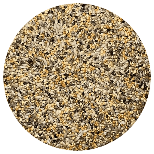 Uccello African Seed Mix - New York Bird Supply