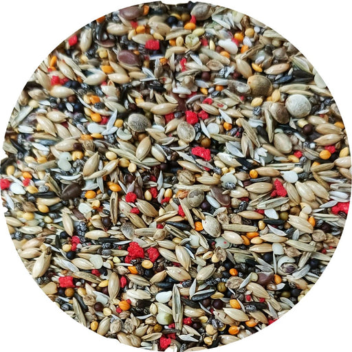 Uccello Euro Goldfinch & Siskin Mix No Sunflower - New York Bird Supply