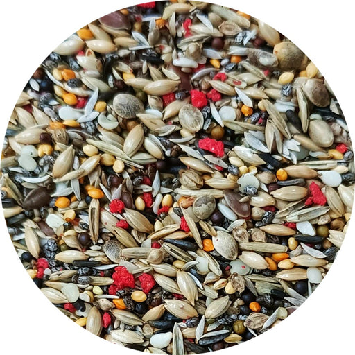 Uccello Euro Goldfinch & Siskin Mix No Sunflower - New York Bird Supply