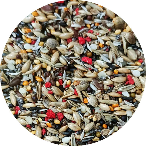 euro garden seeds Uccello Euro Goldfinch & Siskin Mix No Sunflower — New York Bird Supply