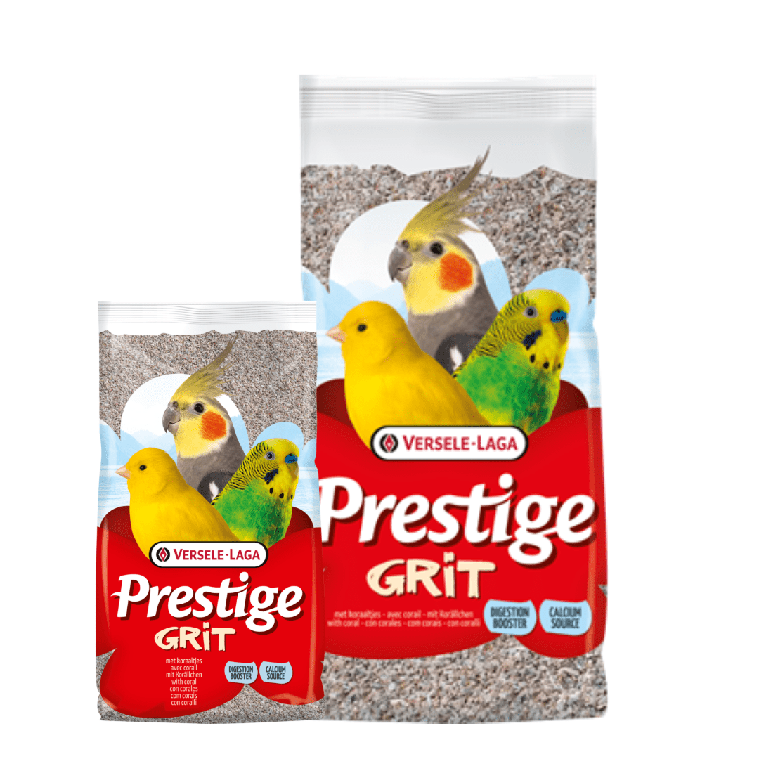 Grit & Minerals