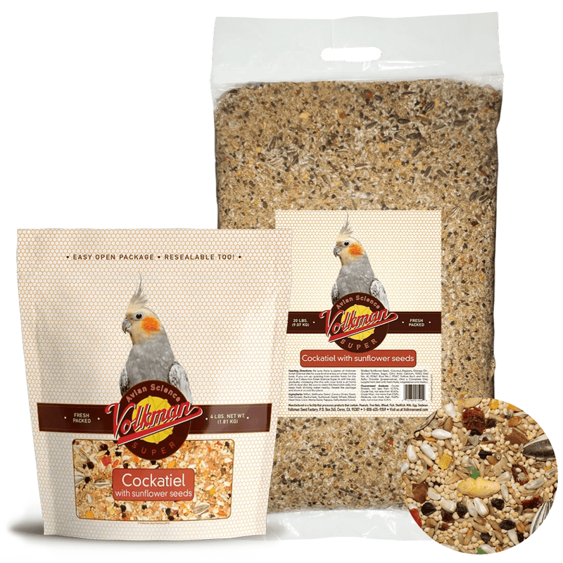 Volkman Avian Science Cockatiel with Sunflower - New York Bird Supply