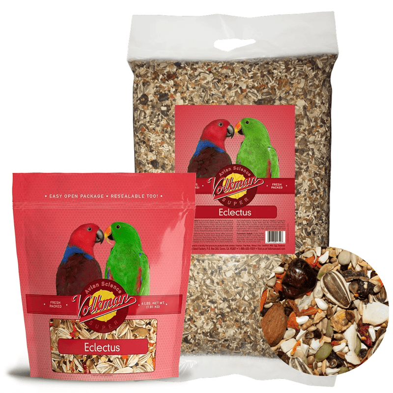 Volkman Avian Science Eclectus - New York Bird Supply