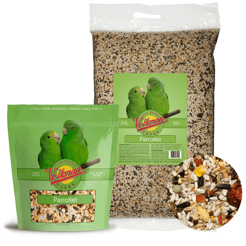 Volkman Avian Science Parrotlet - New York Bird Supply