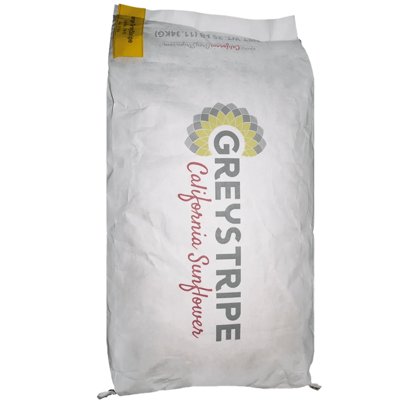 Volkman Grey Striped Sunflower - New York Bird Supply