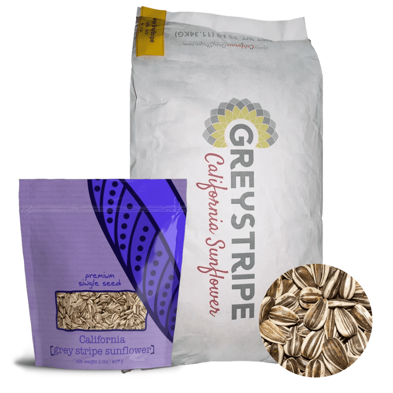 Volkman Grey Striped Sunflower - New York Bird Supply