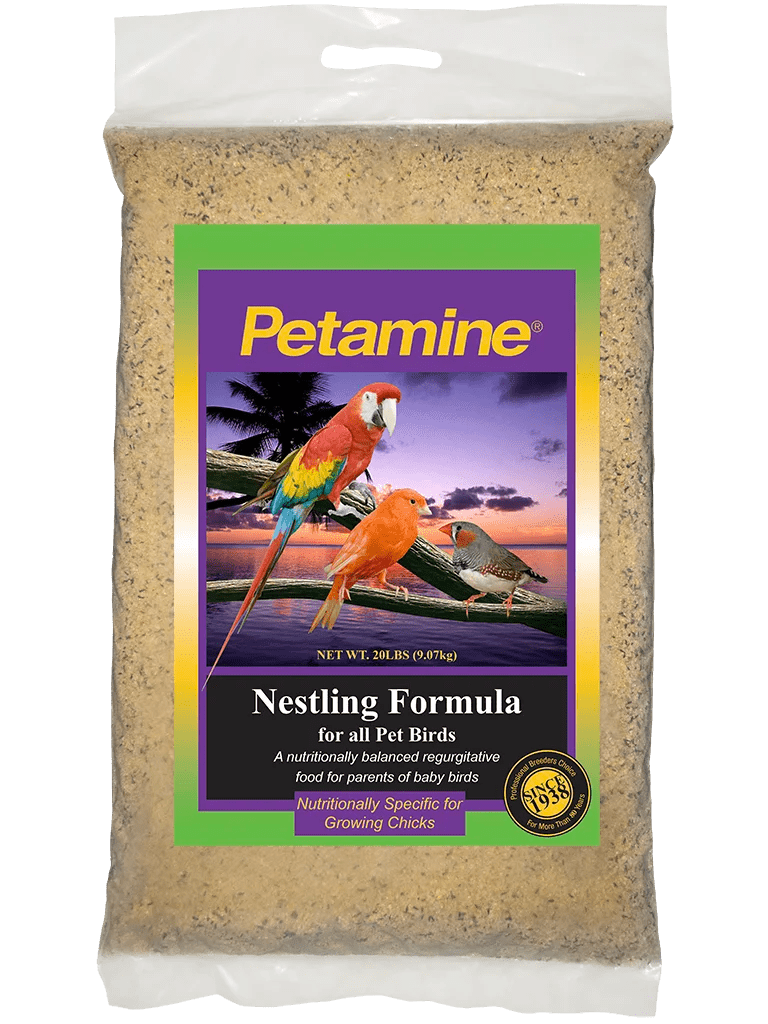 Volkman Petamine Nestling - New York Bird Supply