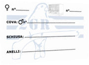 2GR Breeding Card Art. 379 - New York Bird Supply