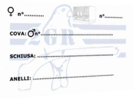 2GR Breeding Card Art. 379 - New York Bird Supply