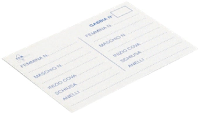 2GR Card for 4 Broods Art.001 - New York Bird Supply