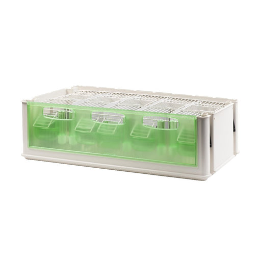 2GR Maxi Tino Transport Cage for Medium Sizes Bird Open in the Back Side Art. 205 - New York Bird Supply