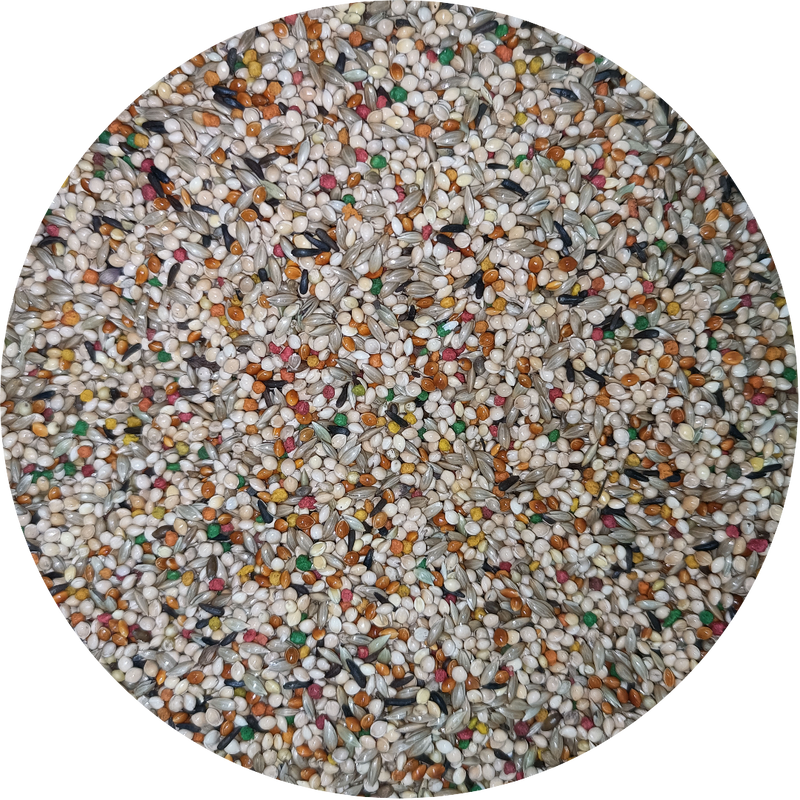 Finch Super Breeder With Vitamin Pellet - New York Bird Supply