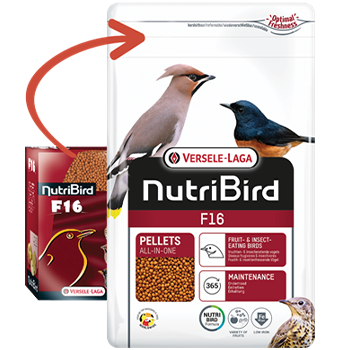 NutriBird F16 - New York Bird Supply