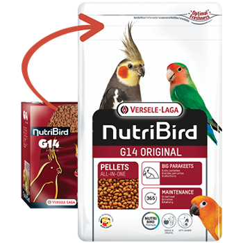 NutriBird G14 Original - New York Bird Supply