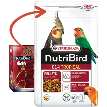 NutriBird G14 Tropical - New York Bird Supply