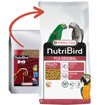 NutriBird P19 Original - New York Bird Supply