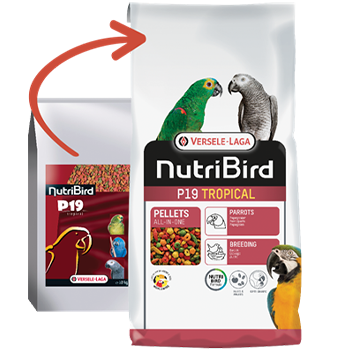 NutriBird P19 Tropical - New York Bird Supply