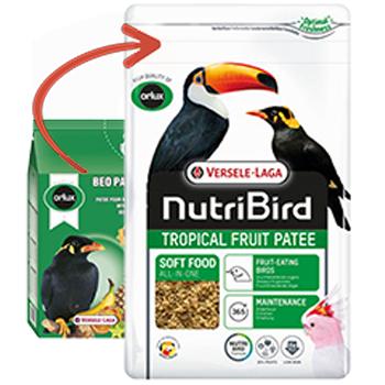 NutriBird Tropical Fruit Patee - New York Bird Supply