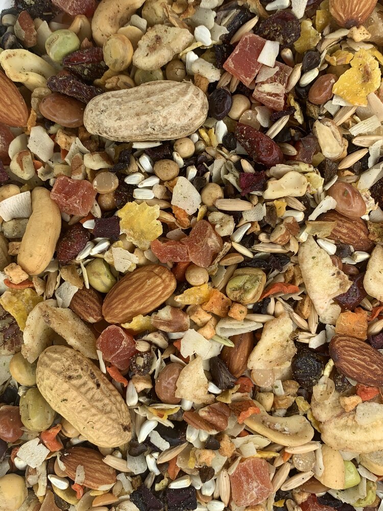 Goldenfeast Paradise Treat Mix - New York Bird Supply