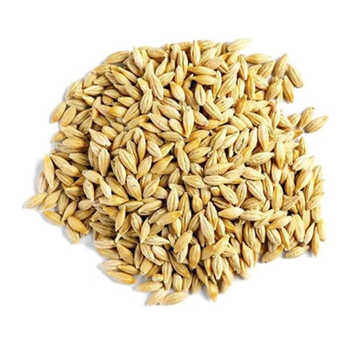 Barley - New York Bird Supply