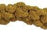 Browns French Spray Millet - New York Bird Supply