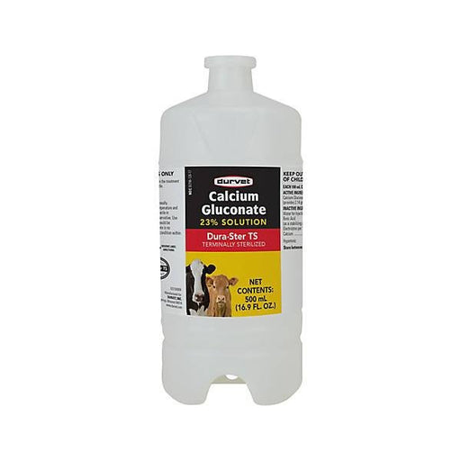 Calcium Gluconate - New York Bird Supply