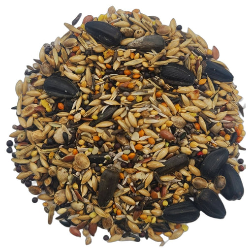 Euro Siskin Mix with Black Oil Sunflower - New York Bird Supply
