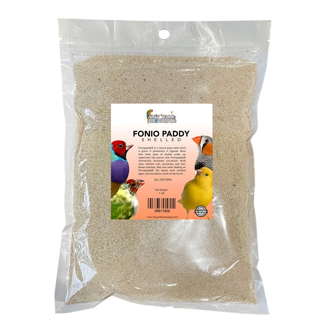 fonio seeds for planting Fonio Paddy Shelled (Out of Shell) — New York Bird Supply