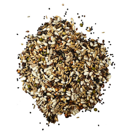 Germination Seed Mix 20lb - New York Bird Supply