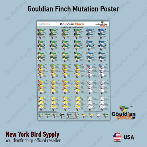 GOULDIAN FINCH MUTATION POSTER - New York Bird Supply