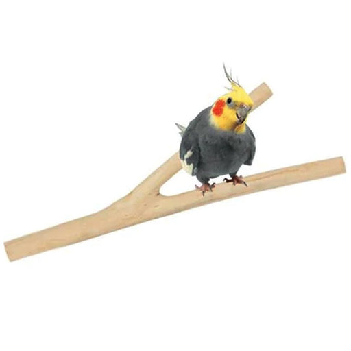 HARI Coffee Wood Branch Perch Small - New York Bird Supply