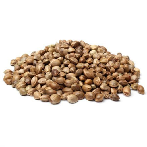 Hemp Seed (sterilized) - New York Bird Supply