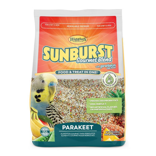 Higgins Sunburst Parakeet - New York Bird Supply