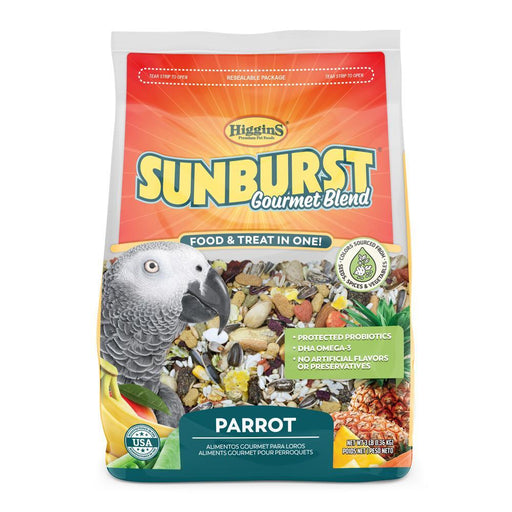 Higgins Sunburst Parrot - New York Bird Supply