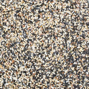 Higgins Sunburst Song Food Bird Treat - New York Bird Supply