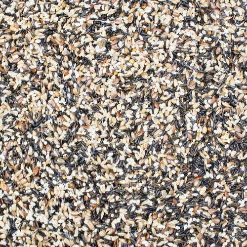 Higgins Sunburst Song Food Bird Treat - New York Bird Supply