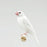 Java Finch White - New York Bird Supply