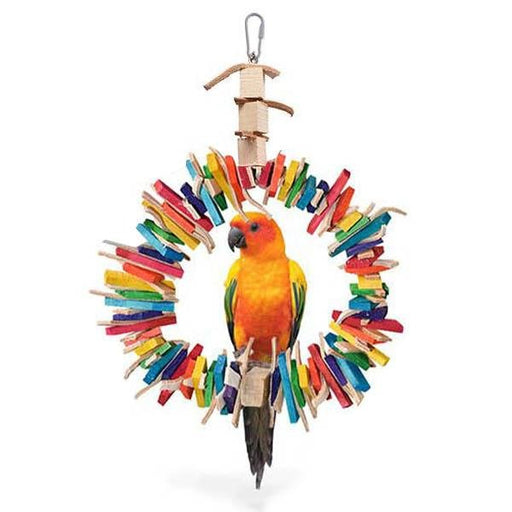 JS30 24" Ring - New York Bird Supply