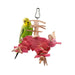 JS41 Pig Small - New York Bird Supply